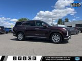 View Video