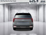 New 2025 Kia Carnival SX image 5