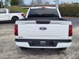 Used 2024 Ford F150 STX image 3