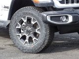 New 2025 Jeep Wrangler Sahara w/ Technology Group image 3