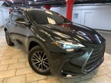 Used 2023 Lexus NX 350 AWD w/ Premium Package image 3