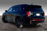 New 2025 Hyundai Palisade Calligraphy image 4