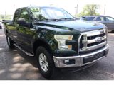 Used 2015 Ford F150 XLT w/ Equipment Group 301A Mid image 4