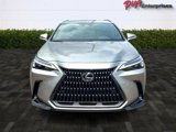 Used 2024 Lexus NX 250 FWD w/ Premium Package image 6