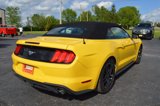 Used 2018 Ford Mustang Premium w/ Equipment Group 201A image 6