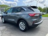 Used 2021 Ford Escape SE w/ Convenience Package image 6
