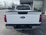New 2025 Ford F150 XLT w/ Equipment Group 301A Standard image 6