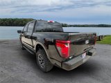 New 2025 Ford F150 STX w/ STX Black Appearance Package image 5