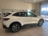 New 2025 Ford Escape ST-Line w/ Cold Weather Package image 5