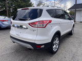 Used 2015 Ford Escape Titanium image 4