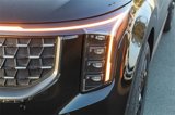 New 2025 Kia Carnival SX Prestige image 5