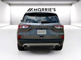 Used 2022 Ford Escape SEL image 6
