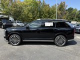 New 2026 Hyundai Palisade Calligraphy image 5