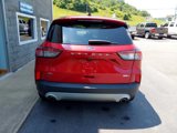 Used 2020 Ford Escape SE image 4