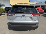 Used 2020 Toyota RAV4 XLE image 3