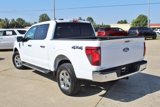 New 2024 Ford F150 XLT w/ Equipment Group 302A MID image 5