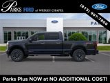 New 2025 Ford F250 Platinum image 3
