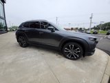 New 2025 MAZDA CX-50 2.5 Turbo w/ Premium Plus Pkg image 2