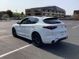 Used 2022 Alfa Romeo Stelvio Veloce image 3
