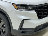 New 2025 Honda Pilot Black Edition image 2