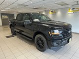 New 2025 Ford F150 XLT image 1