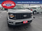 New 2025 Ford F150 STX image 5