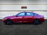 Used 2024 Honda Accord Sport image 4