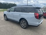 New 2025 Ford Expedition Active image 5