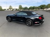Used 2023 Ford Mustang Premium image 3