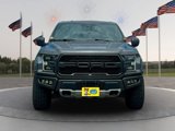 Used 2019 Ford F150 Raptor w/ Equipment Group 802A Luxury image 2