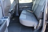New 2025 Ford F150 STX image 5