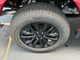New 2025 Ford F150 XLT w/ Equipment Group 302A MID image 5