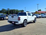New 2025 Nissan Frontier SV w/ SV Convenience Package image 2