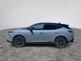 New 2025 Nissan Murano Platinum w/ Cargo Package image 3