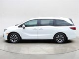 New 2025 Honda Odyssey EX-L image 3
