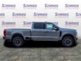 New 2025 Ford F250 Platinum image 3