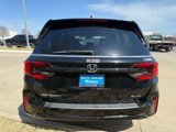 New 2025 Honda Odyssey Elite image 4