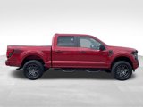 New 2025 Ford F150 STX w/ STX Black Appearance Package image 4