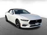 Used 2024 Ford Mustang Premium image 3