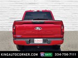 New 2025 Ford F150 STX w/ STX Black Appearance Package image 6