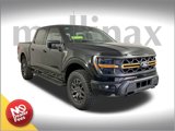 New 2025 Ford F150 Tremor image 1