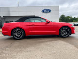 Used 2022 Ford Mustang Premium image 4