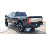 New 2025 Ford F250 4x4 Crew Cab Super Duty image 4