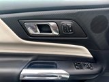 Used 2024 Ford Mustang GT Premium image 6