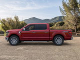 New 2025 Ford F150 XLT w/ Equipment Group 302A MID image 3