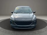 Used 2020 Ford Escape SE image 2