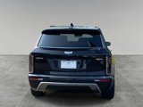 New 2026 Cadillac Vistiq Sport image 5