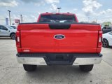 Used 2023 Ford F150 XLT image 4