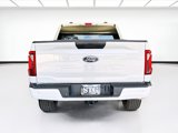 Used 2024 Ford F150 STX image 5
