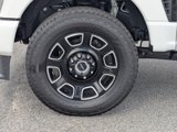 New 2025 Ford F250 Platinum image 3
